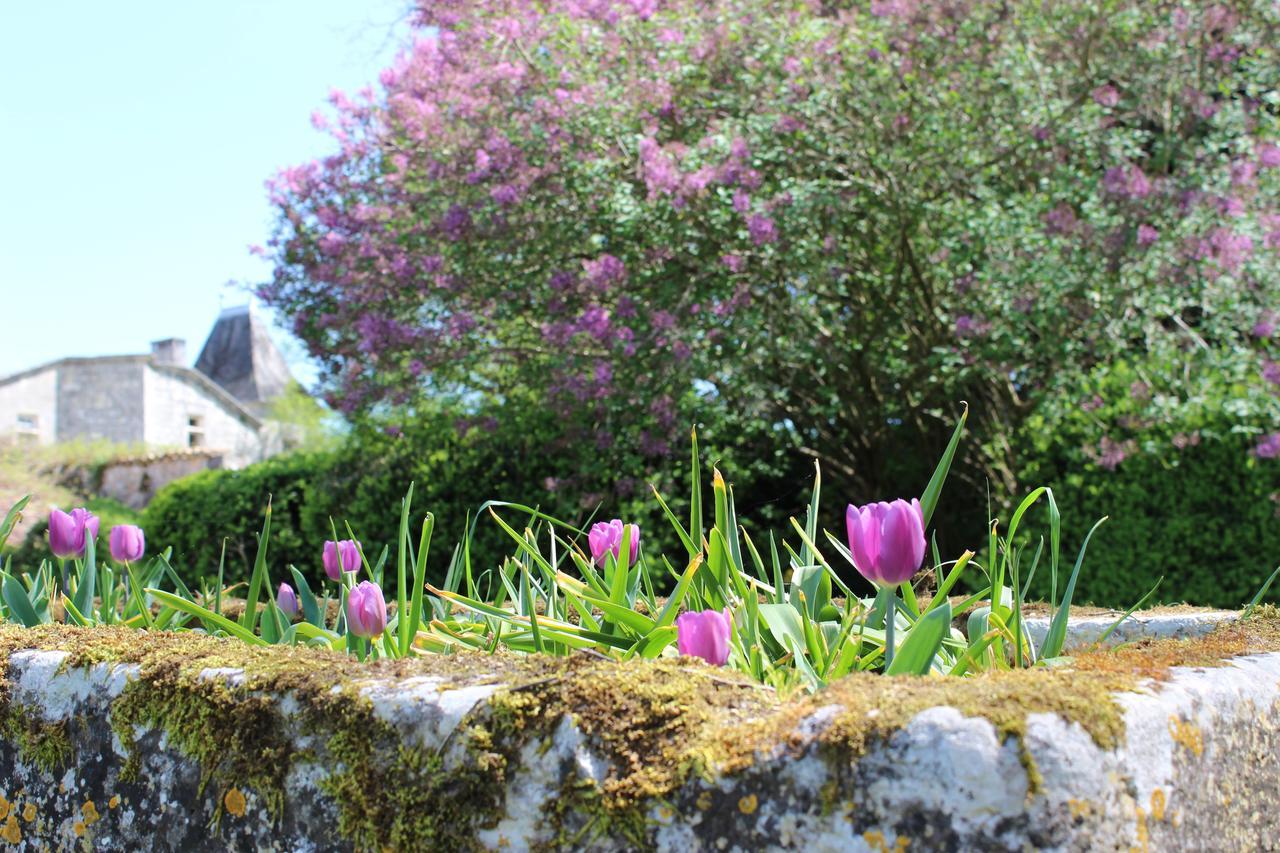 Château de Sers Sers  Exterior foto